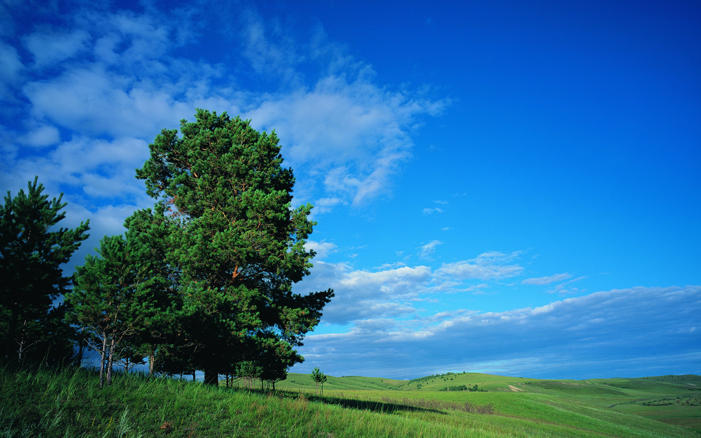 Prairie desktop wallpaper