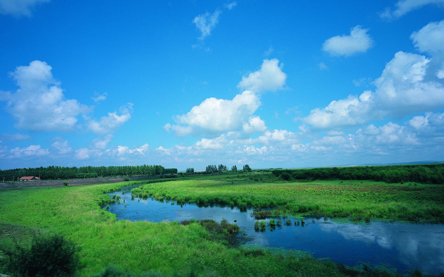 Prairie Scenery Wallpaper