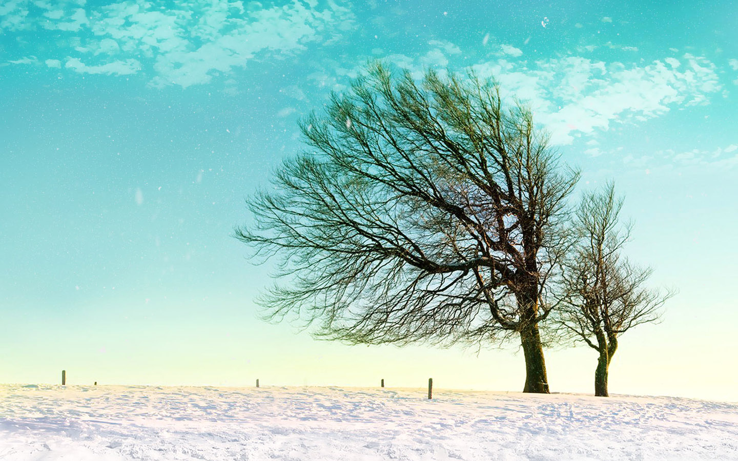 Snow couple dating wallpaper quietly