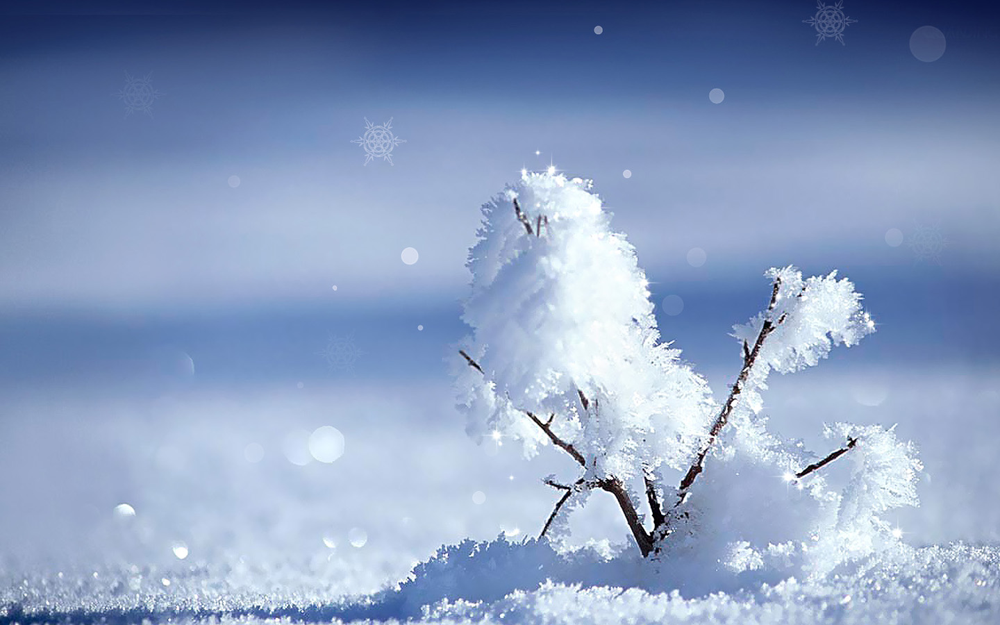 Winter. Snowflake Desktop Wallpaper