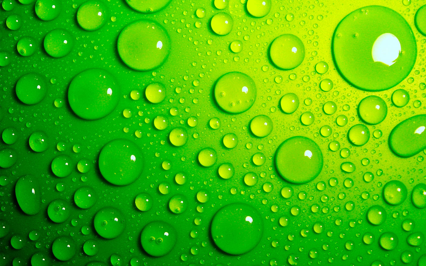 green water drops desktop wallpaper