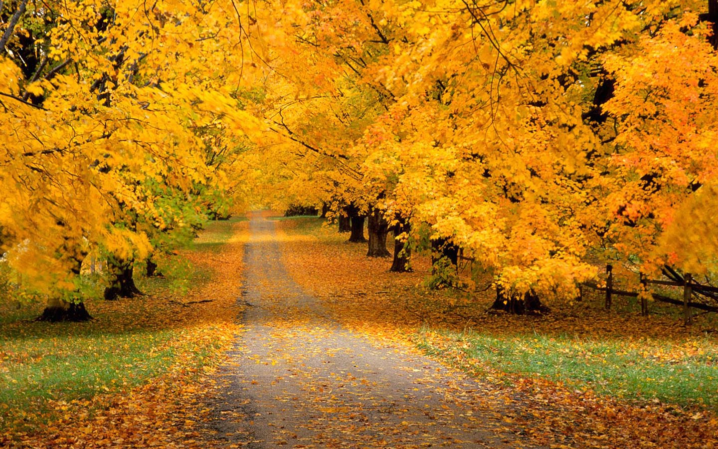 Classic Autumn Landscape Desktop Wallpaper