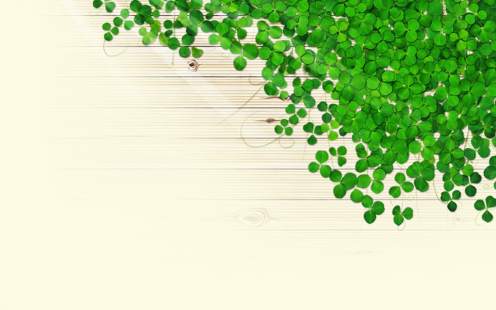 green shade computer desktop picture background