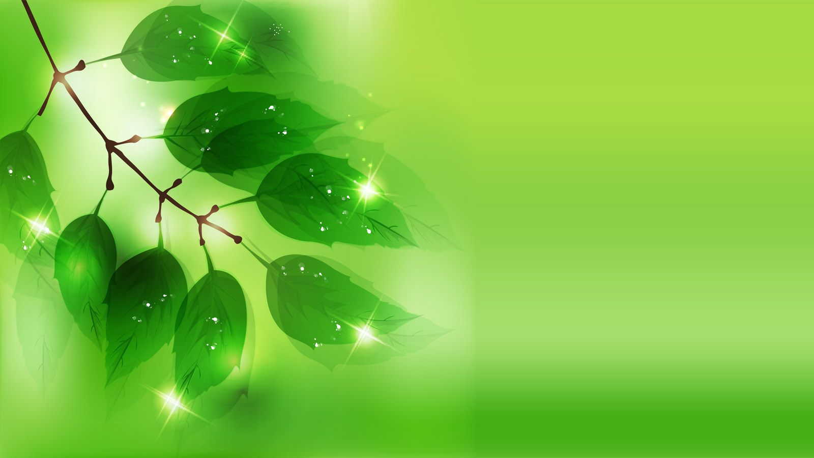 Green leaf vector computer desktop wallpaper