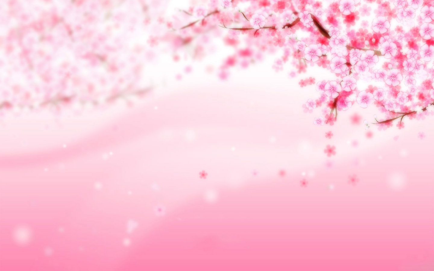 Pink plum blossom desktop wallpaper