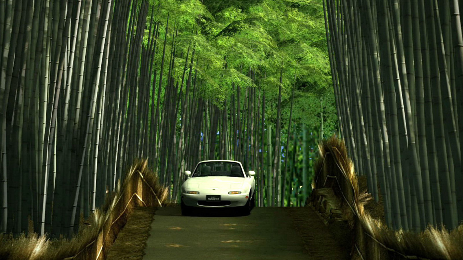 High-definition bamboo forest landscape desktop background picture