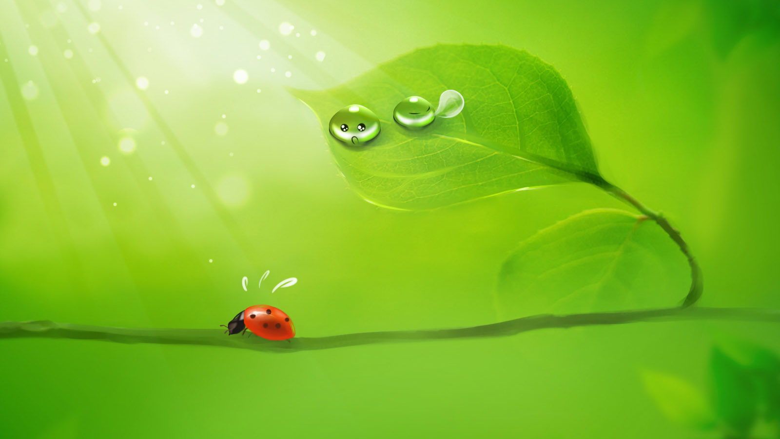 beautiful dewdrop desktop background picture