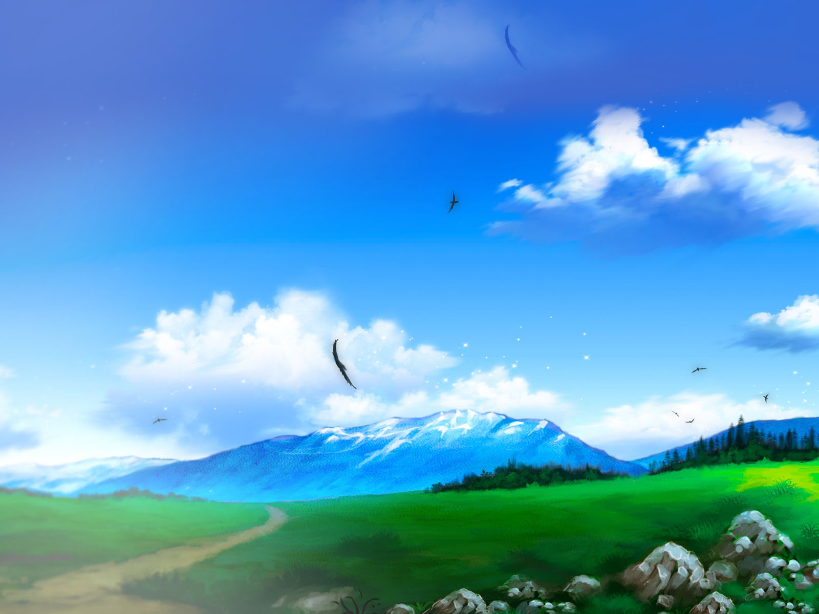 Blue Sky White Cloud Grass Desktop Background Picture
