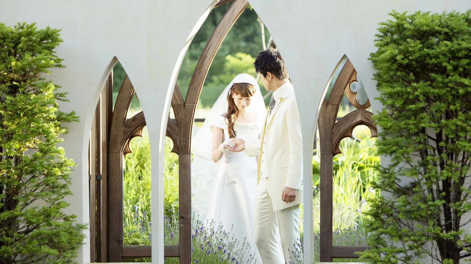 wedding photo desktop background picture