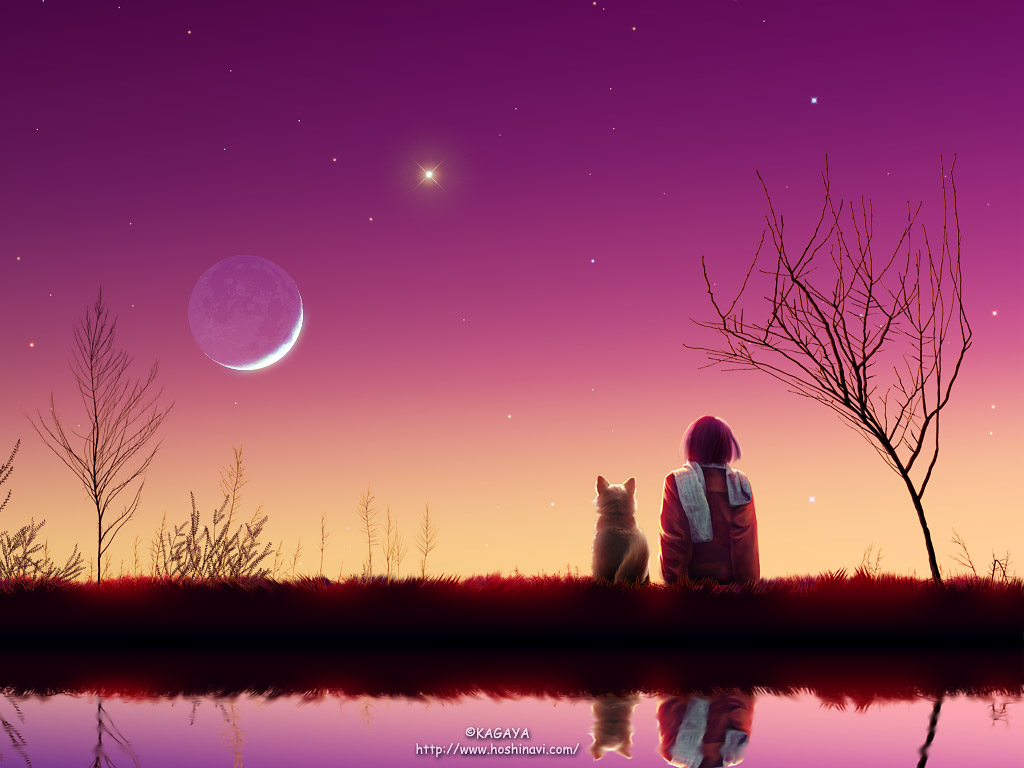 Luna Garden Fantasy Starry Sky Desktop Wallpaper