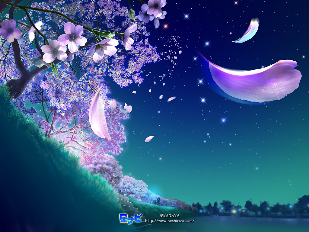 Sakura Star Fantasy Starry Sky Desktop Wallpaper