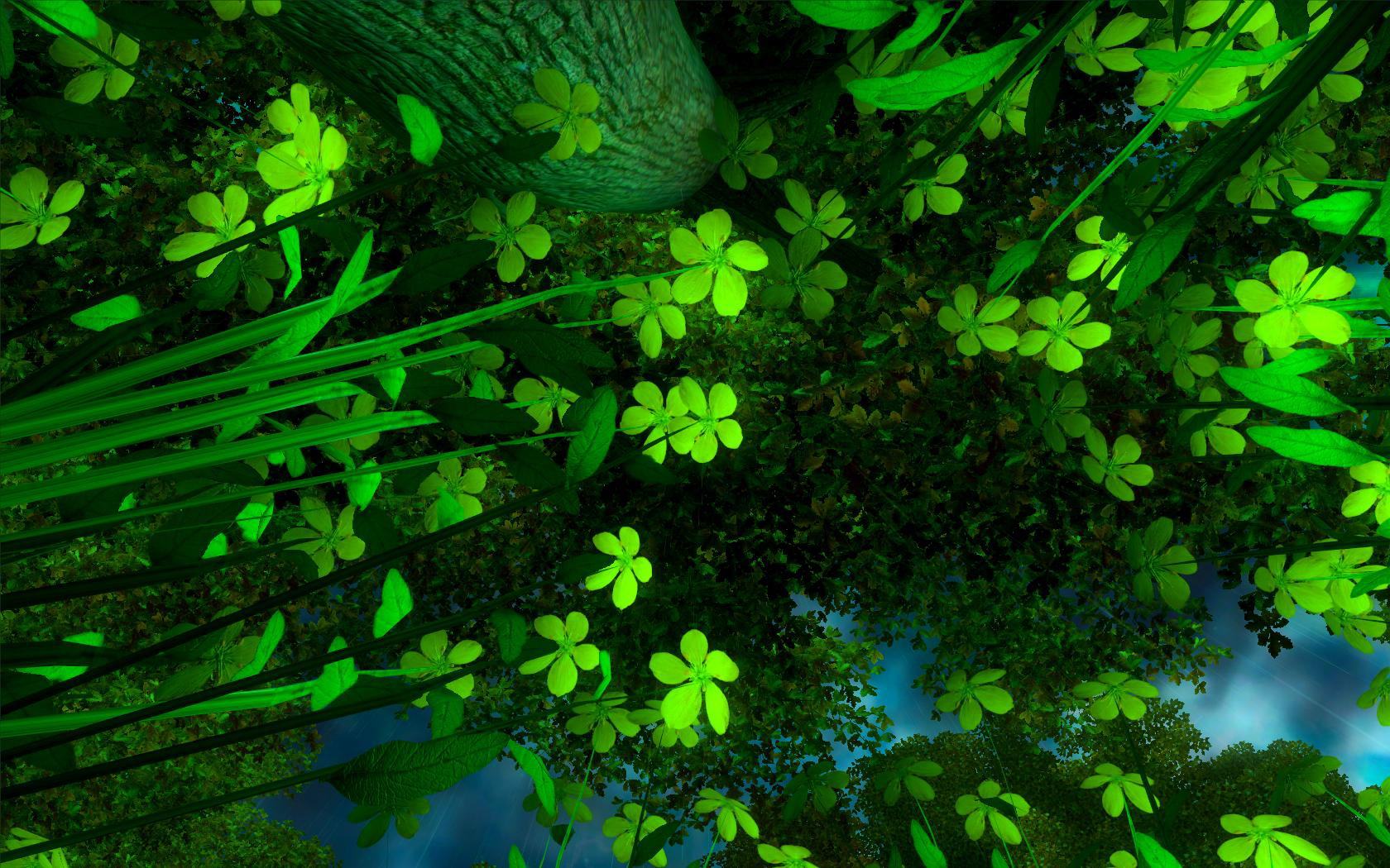beautiful forest reflection scenery desktop wallpaper