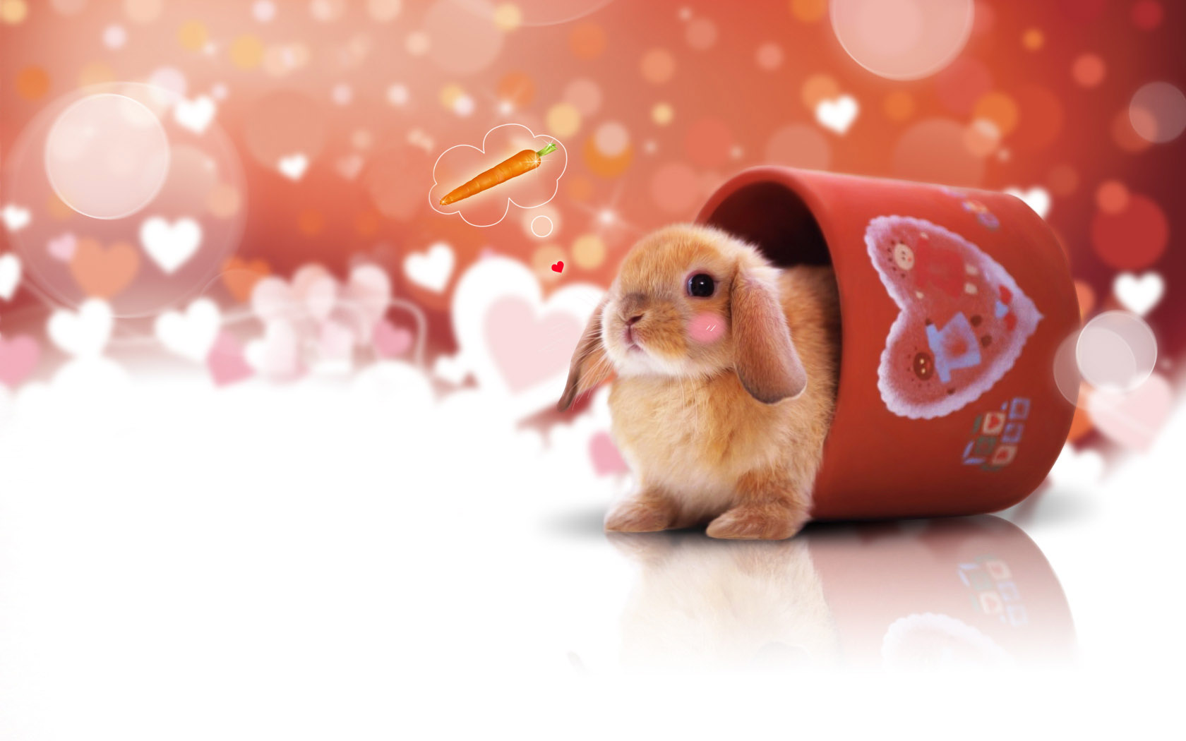 cute bunny desktop wallpaper