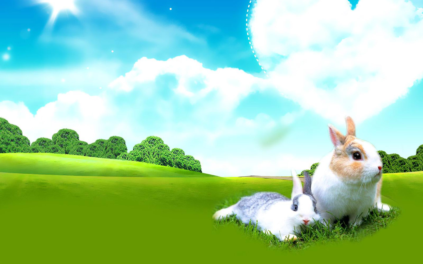 Two Bunny Desktop Wallpaper