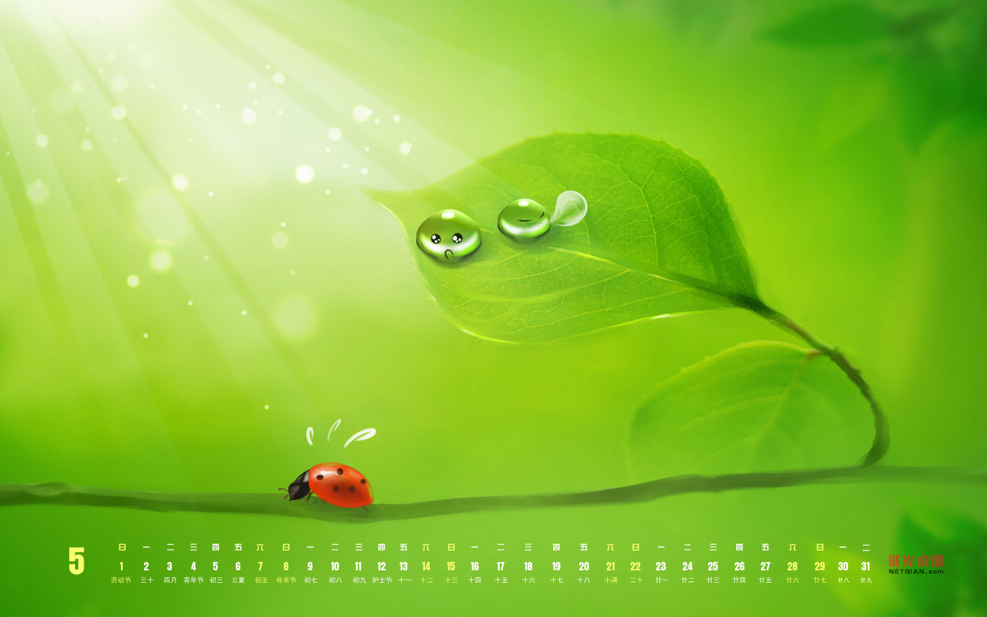 Lovely Dewdrop May 2011 Calendar Wallpaper