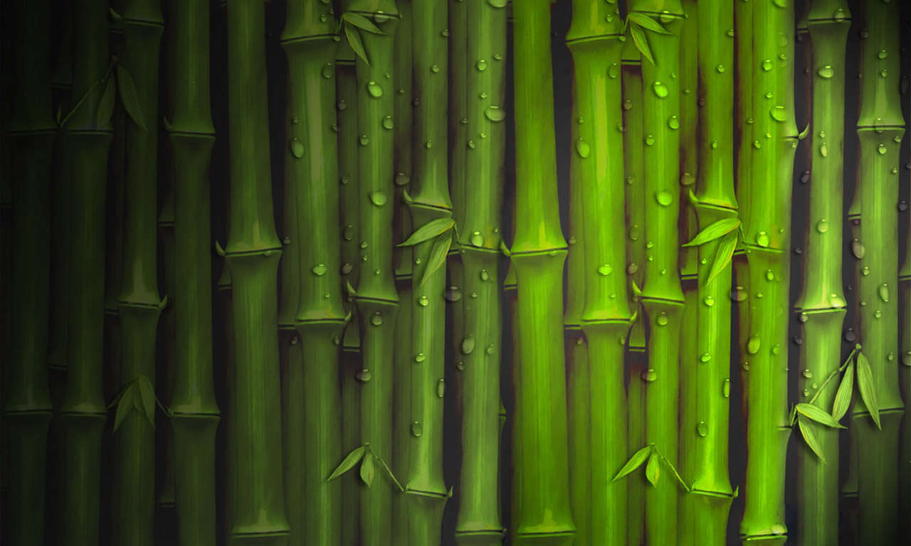 Seductive Bamboo Desktop Wallpaper