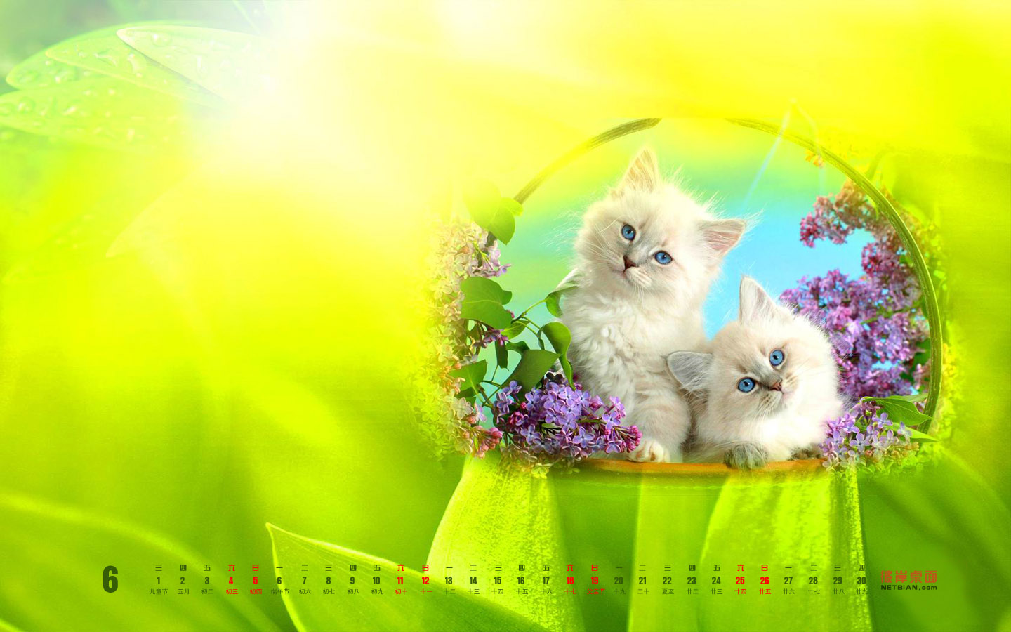 Cat's Cradle June 2011 Calendar Desktop