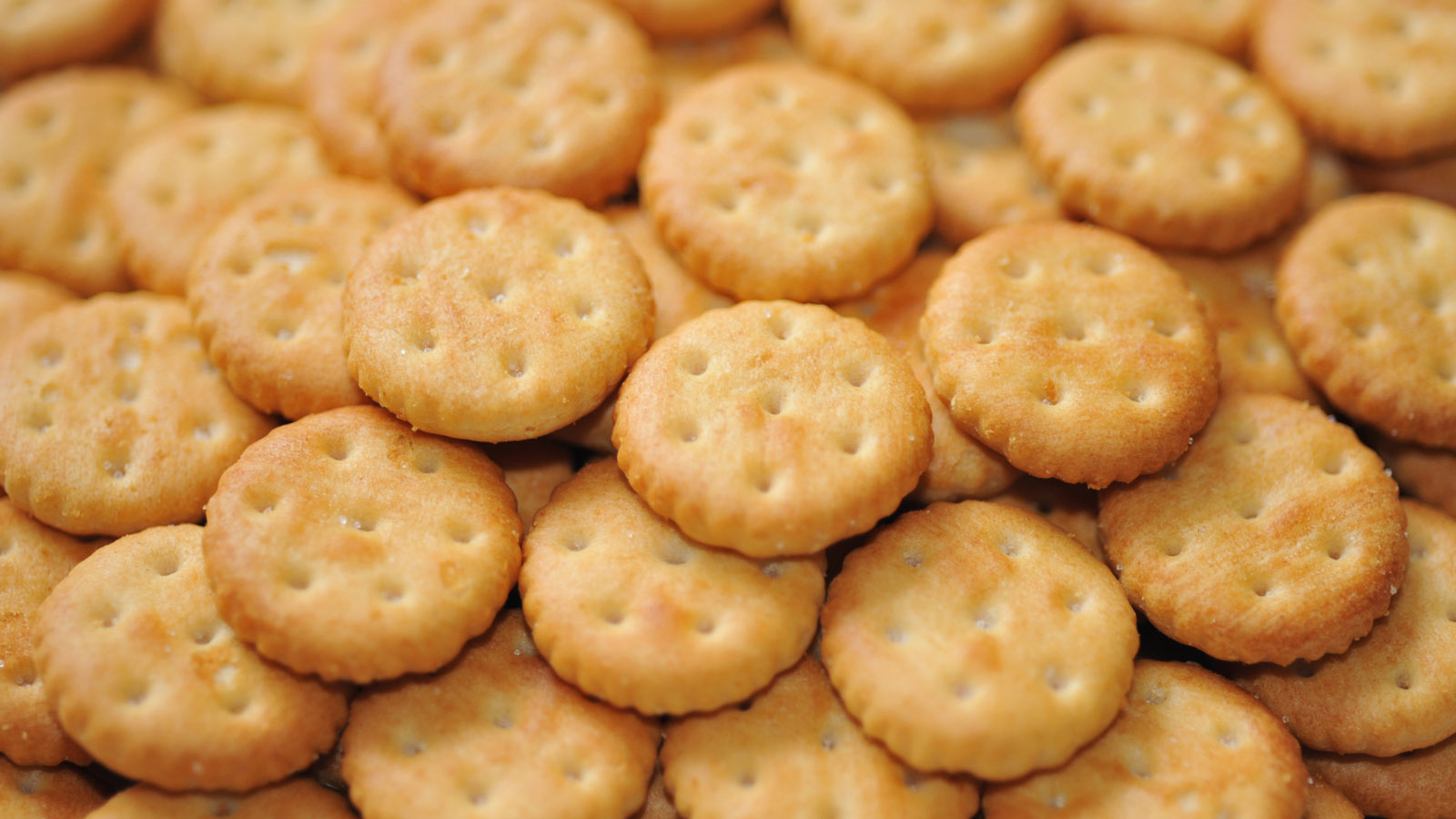 biscuit desktop background picture