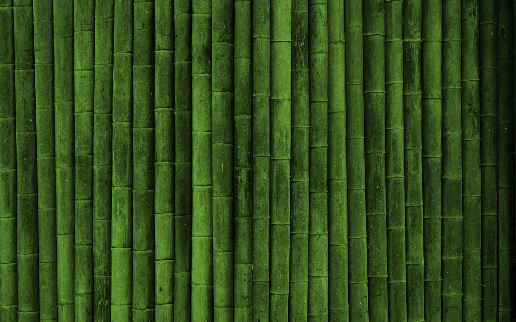 Bamboo HD Computer Desktop Wallpaper