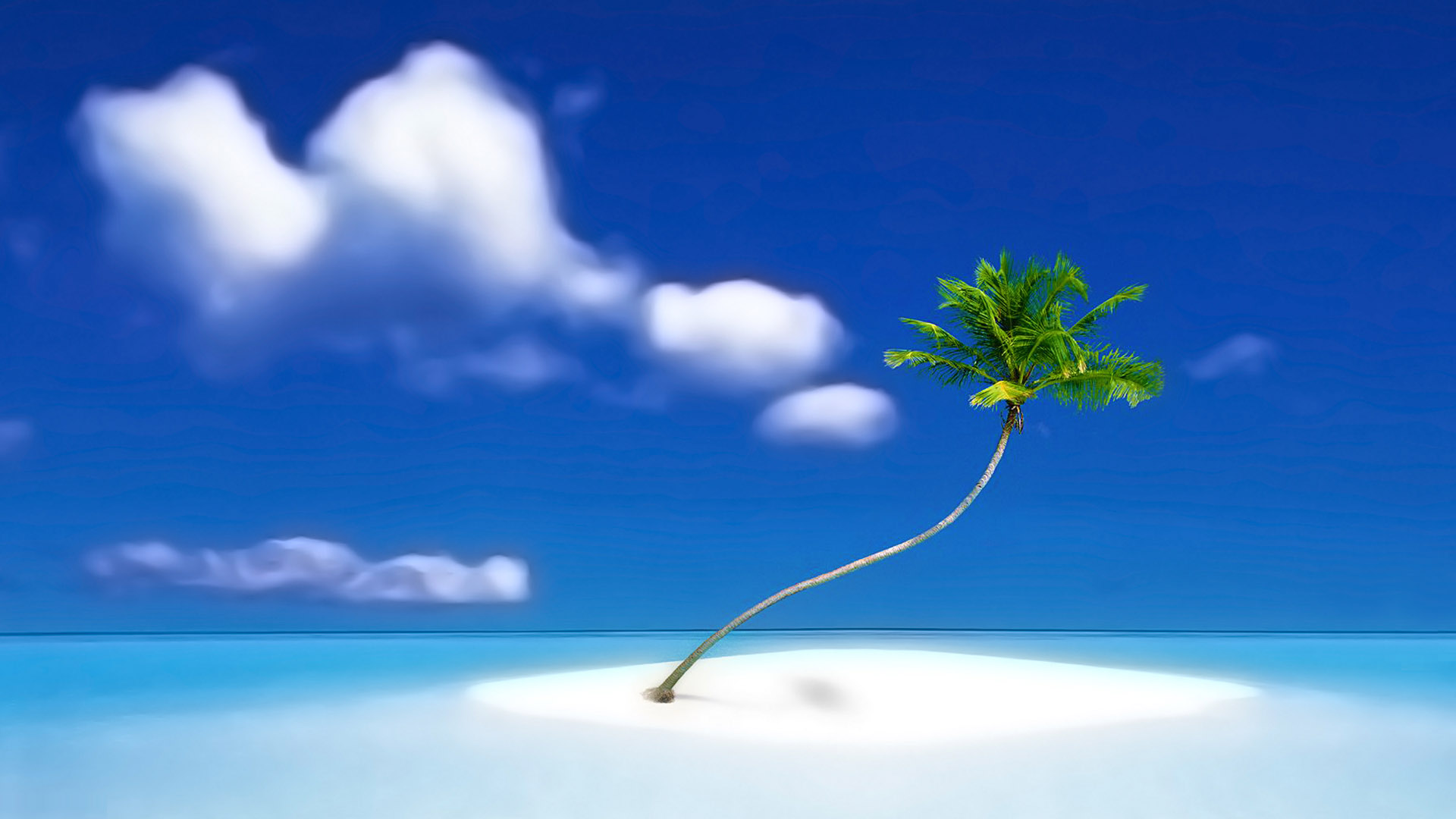 beautiful seaside coconut tree desktop wallpaper