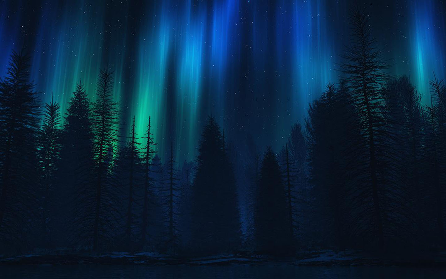 Night forest scenery desktop wallpaper