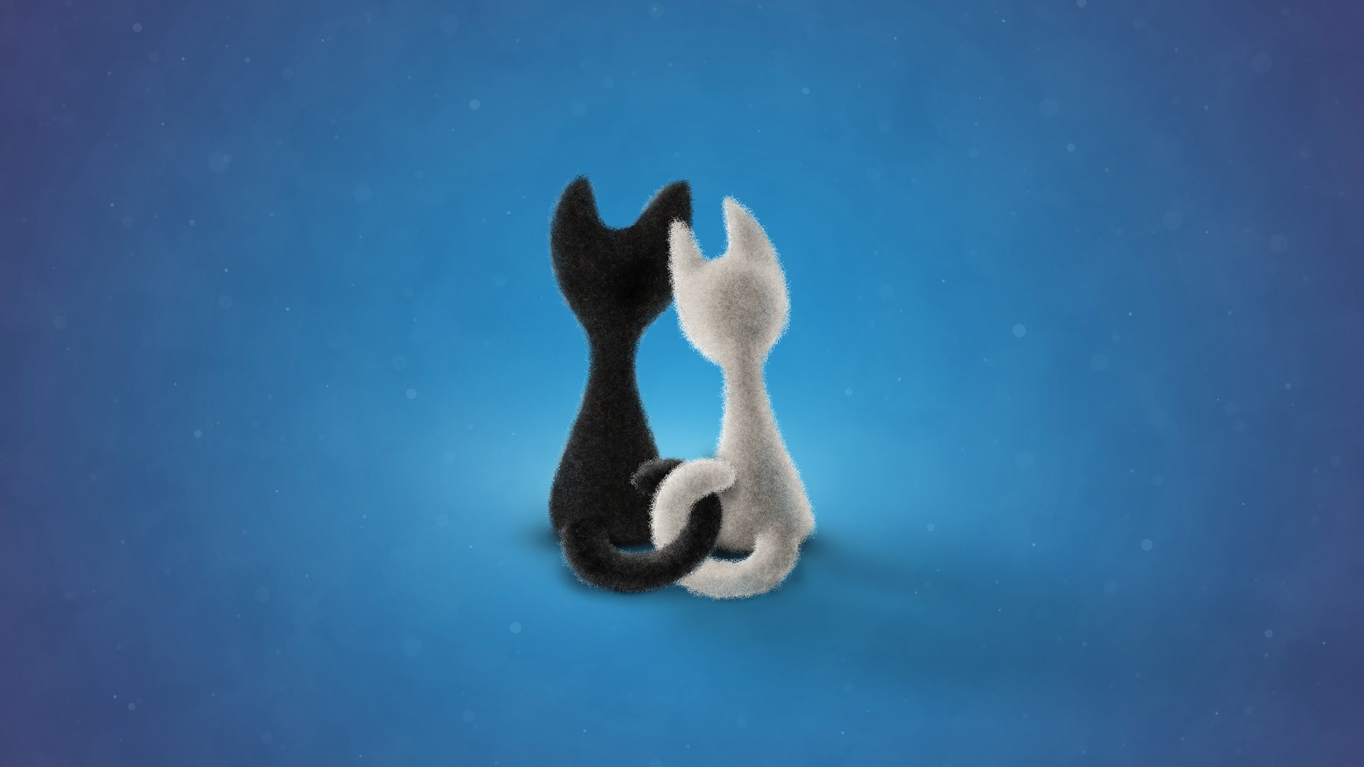 Valentine's Day Black Cat White Cat Desktop Wallpaper