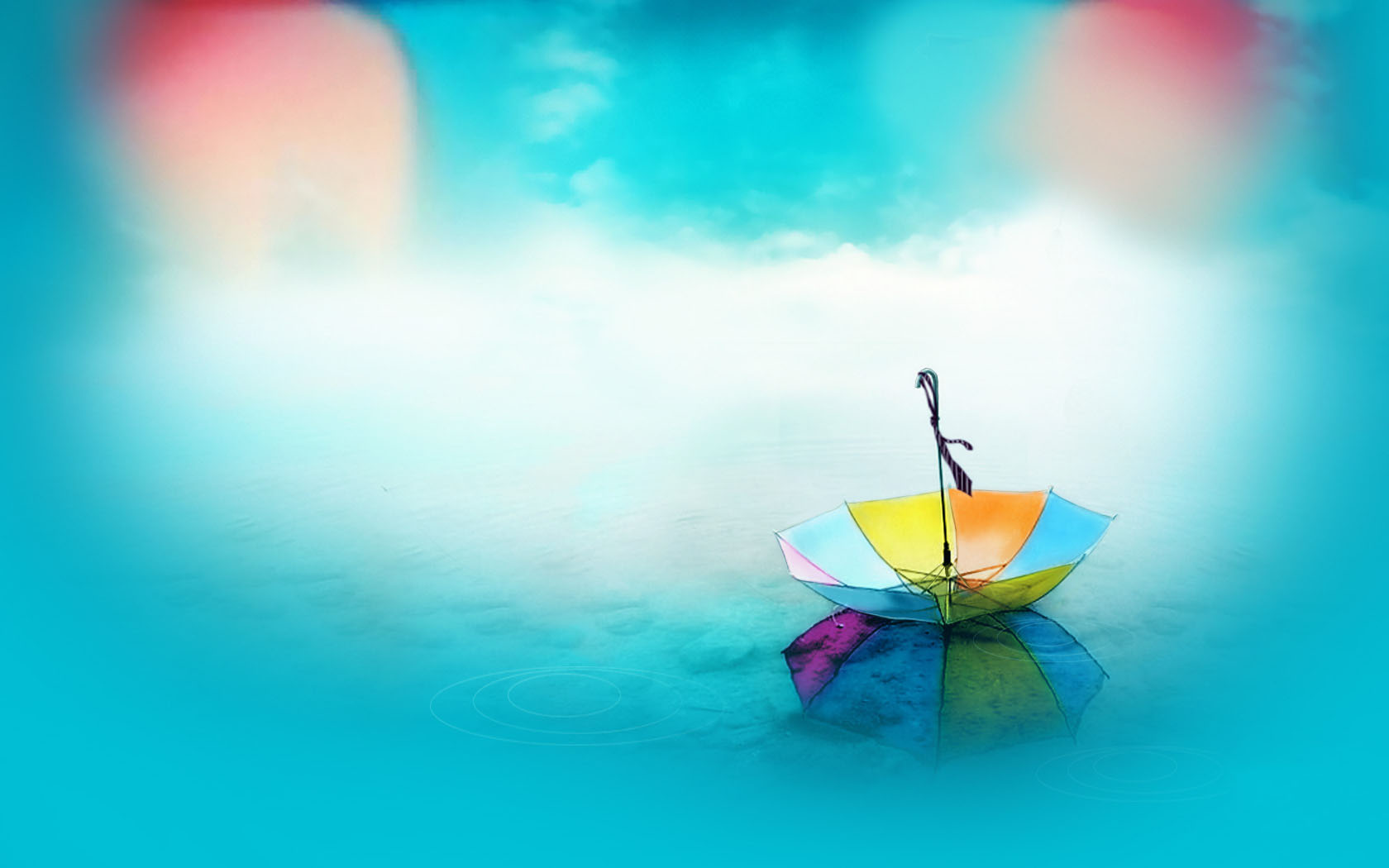 Colorful flower umbrella desktop wallpaper