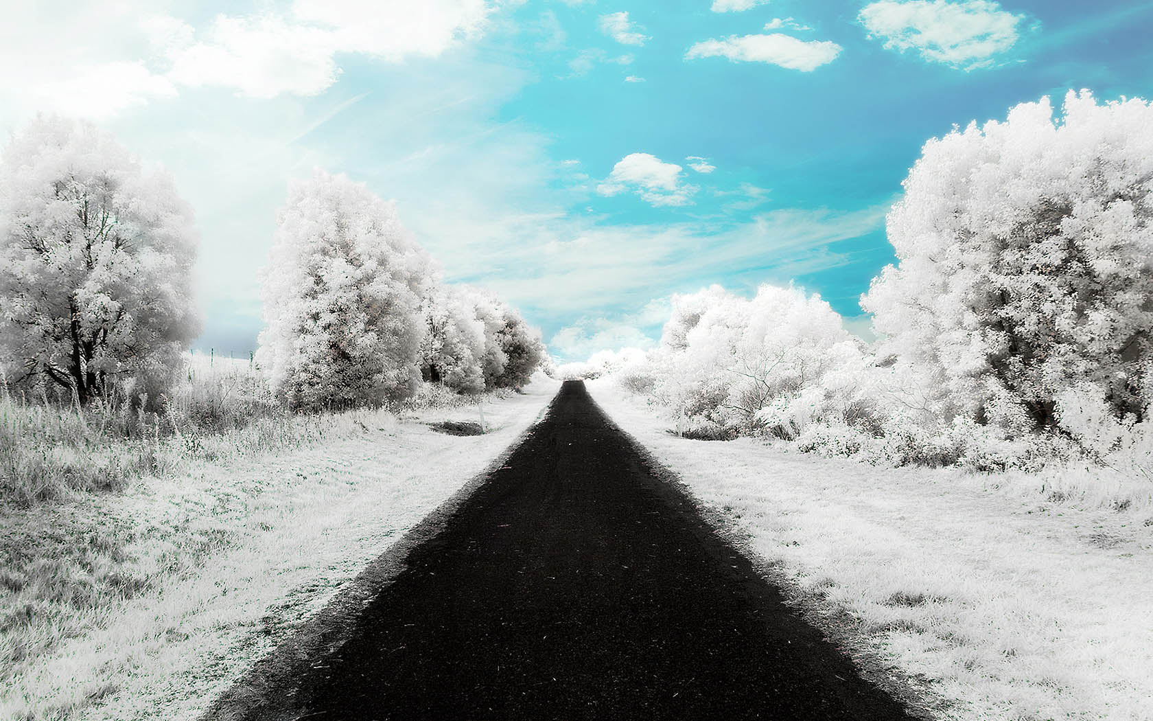 Good looking snow road scenery desktop wallpaper