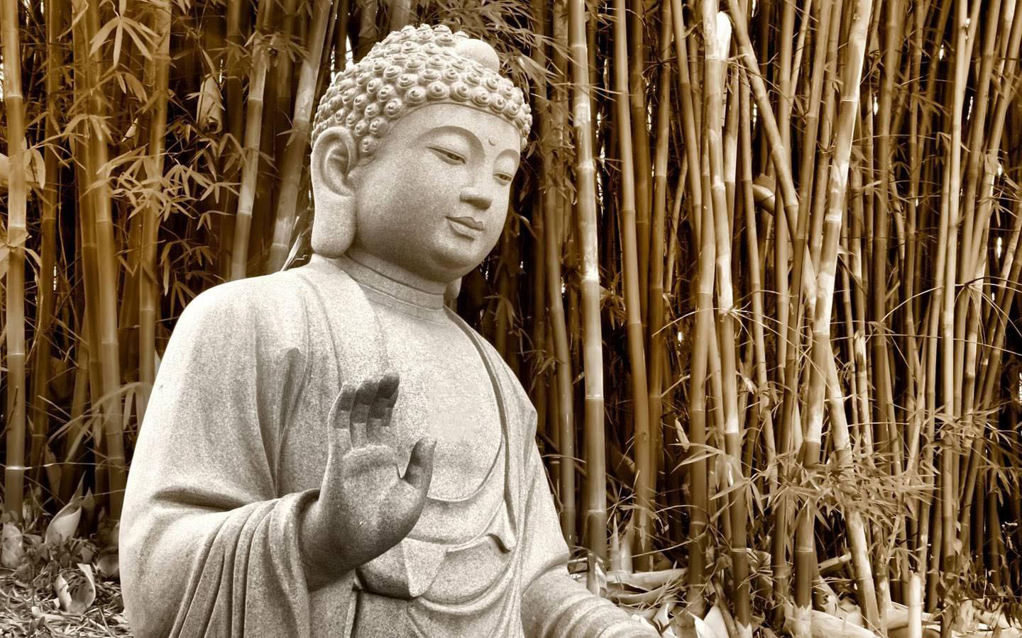 Bodhisattva desktop background image