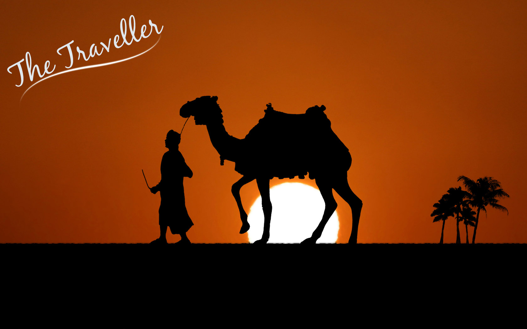 Sunset camel desktop wallpaper