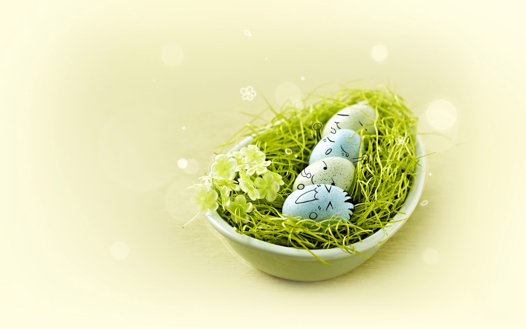 Cute egg desktop background image