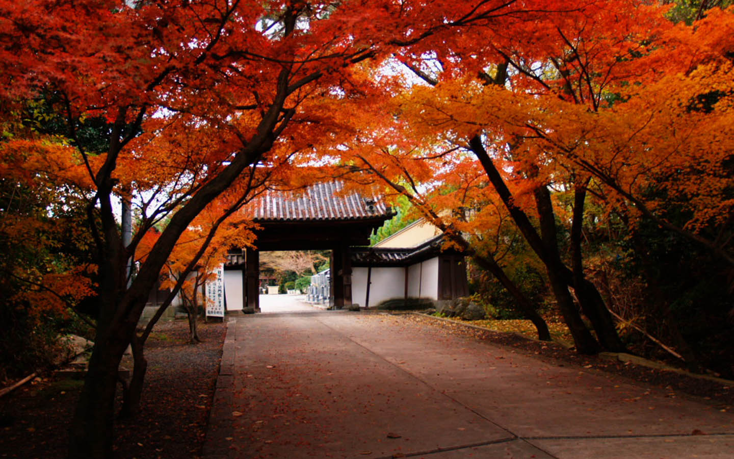 Japanese Autumn Landscape Desktop Wallpaper
