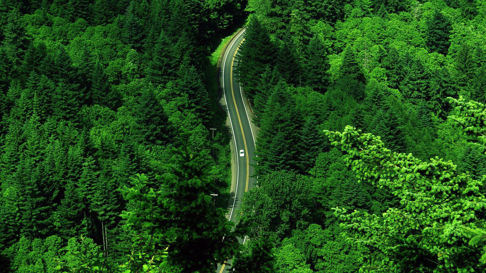 Aerial road landscape desktop wallpaper