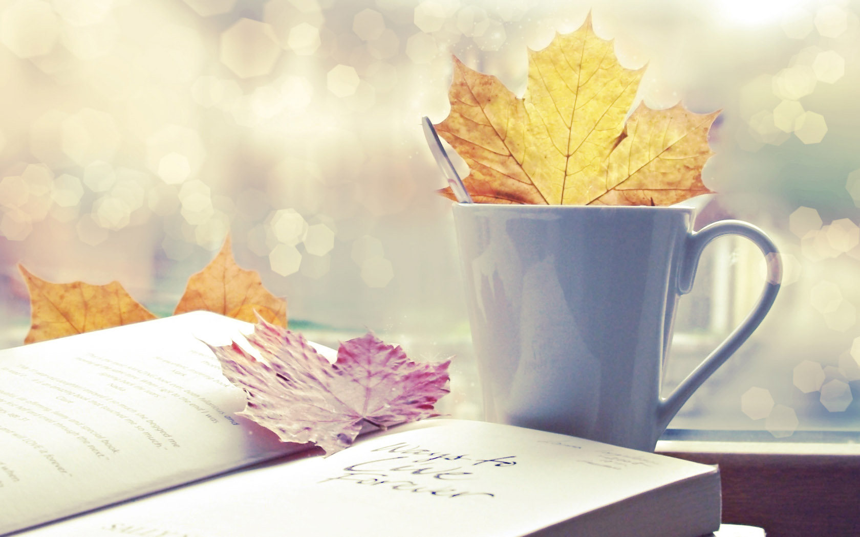 Cup Maple Leaf Book Wallpaper