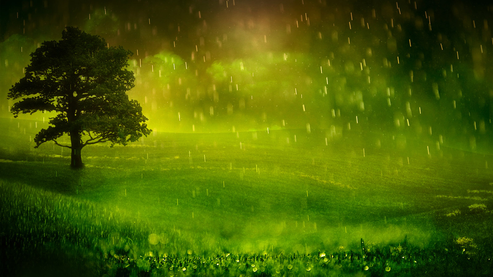 Rainy Landscape Desktop Wallpaper