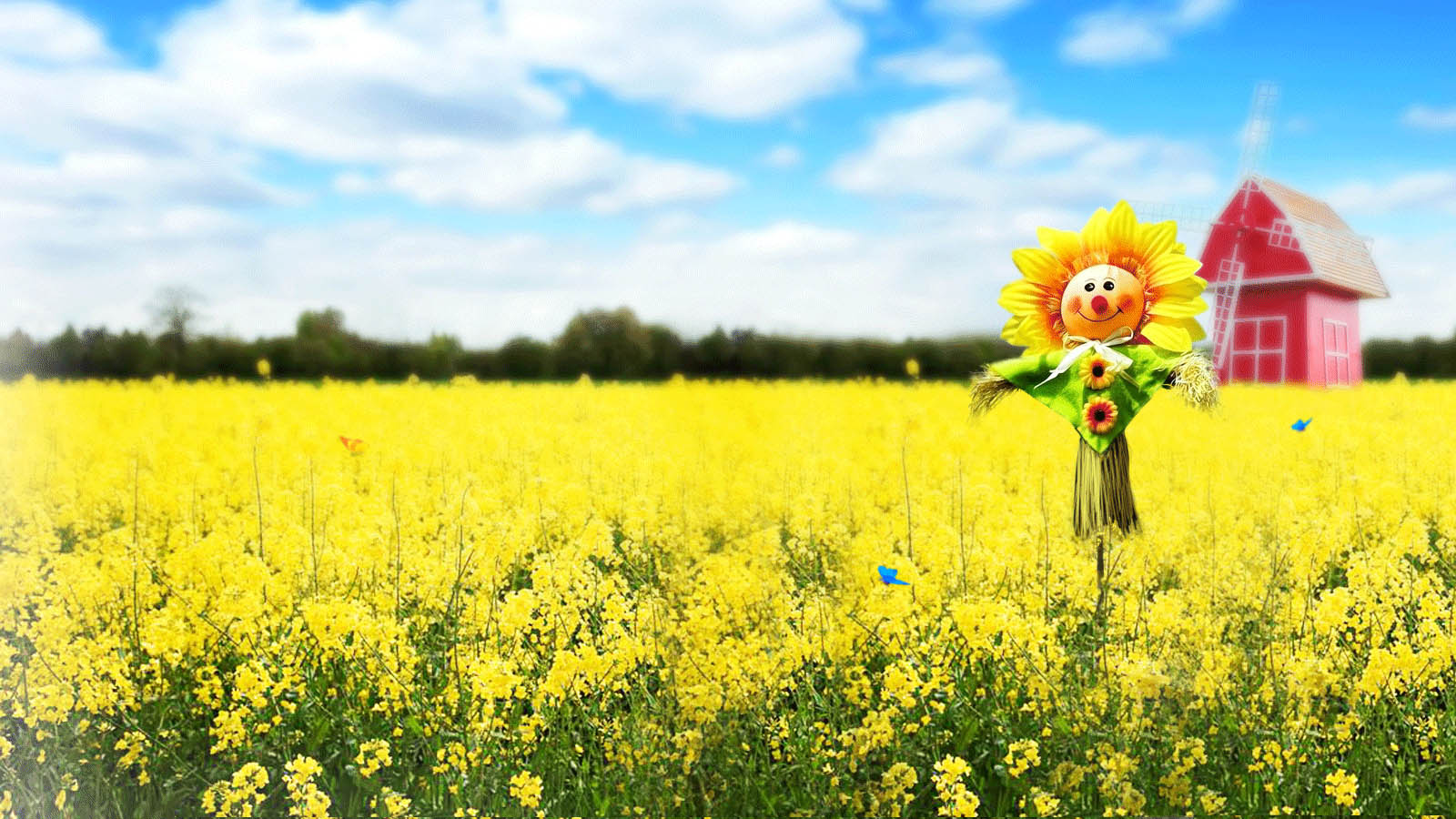 Smiling sunflower desktop wallpaper