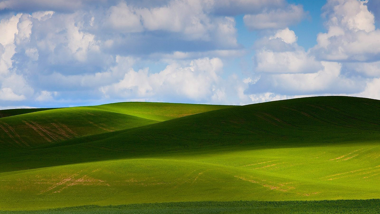Beautiful grassland computer desktop wallpaper