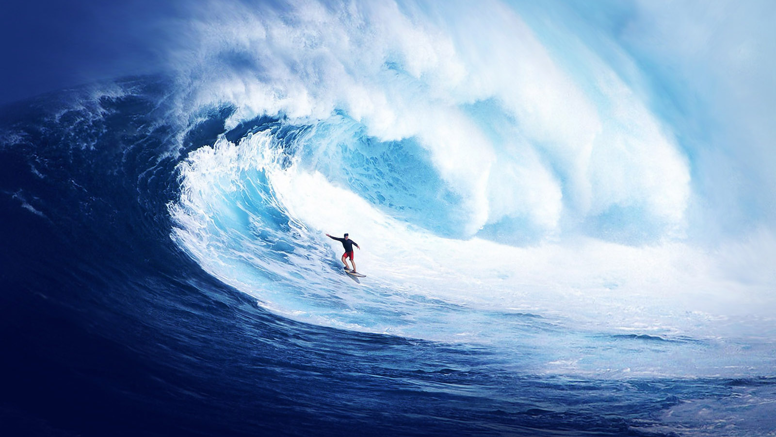 sea surfing desktop wallpaper