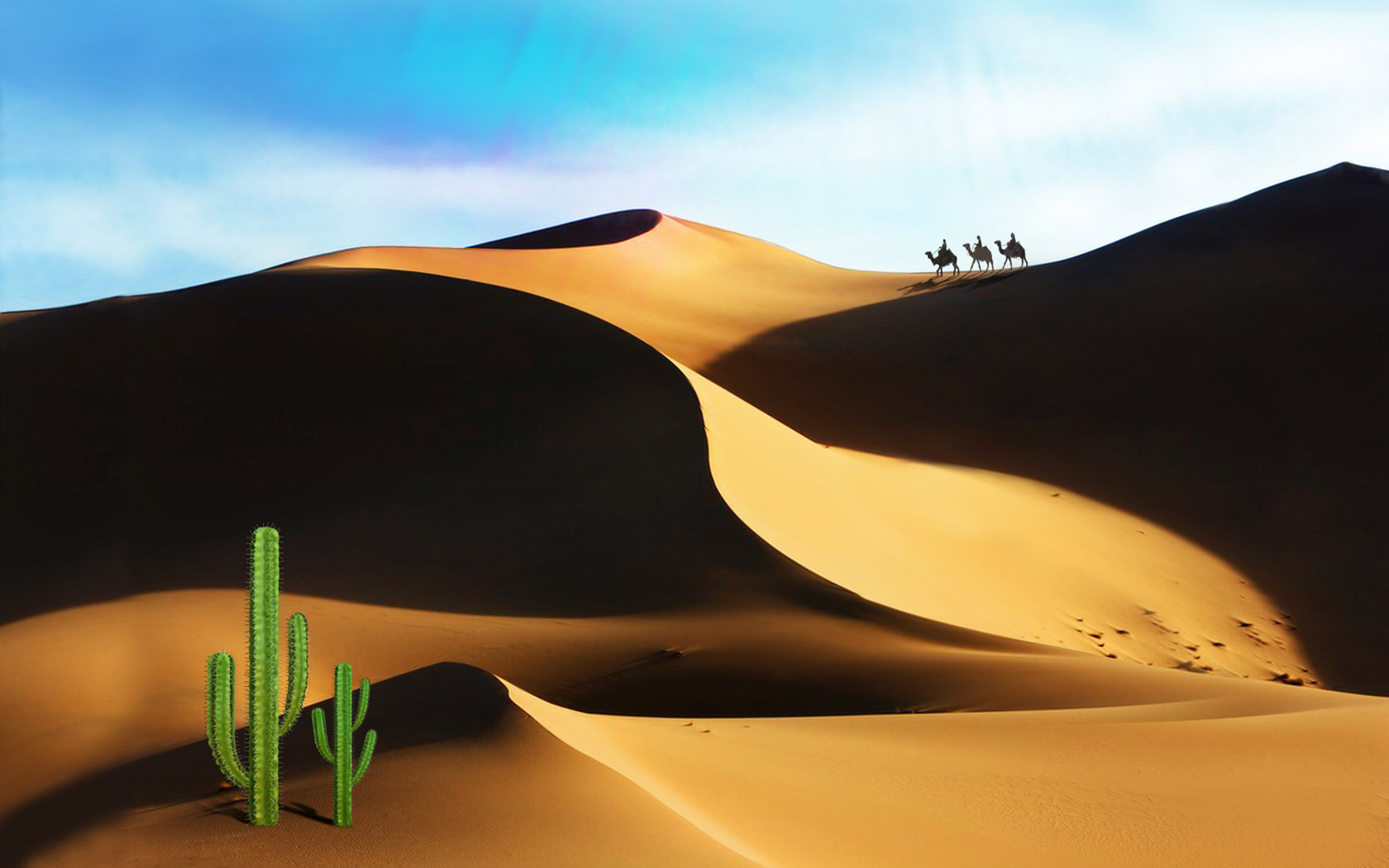 Desert Travel Desktop Wallpaper