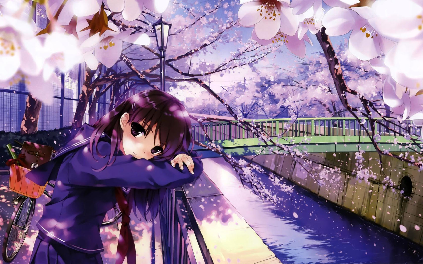 Beautiful anime girl desktop picture
