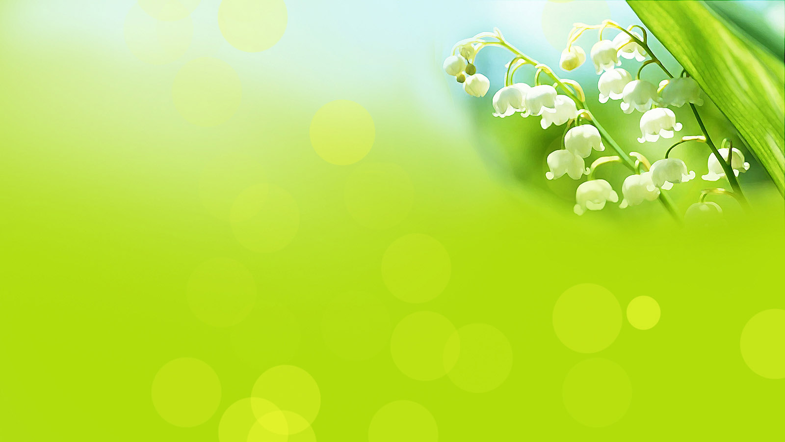 Green blessing desktop wallpaper