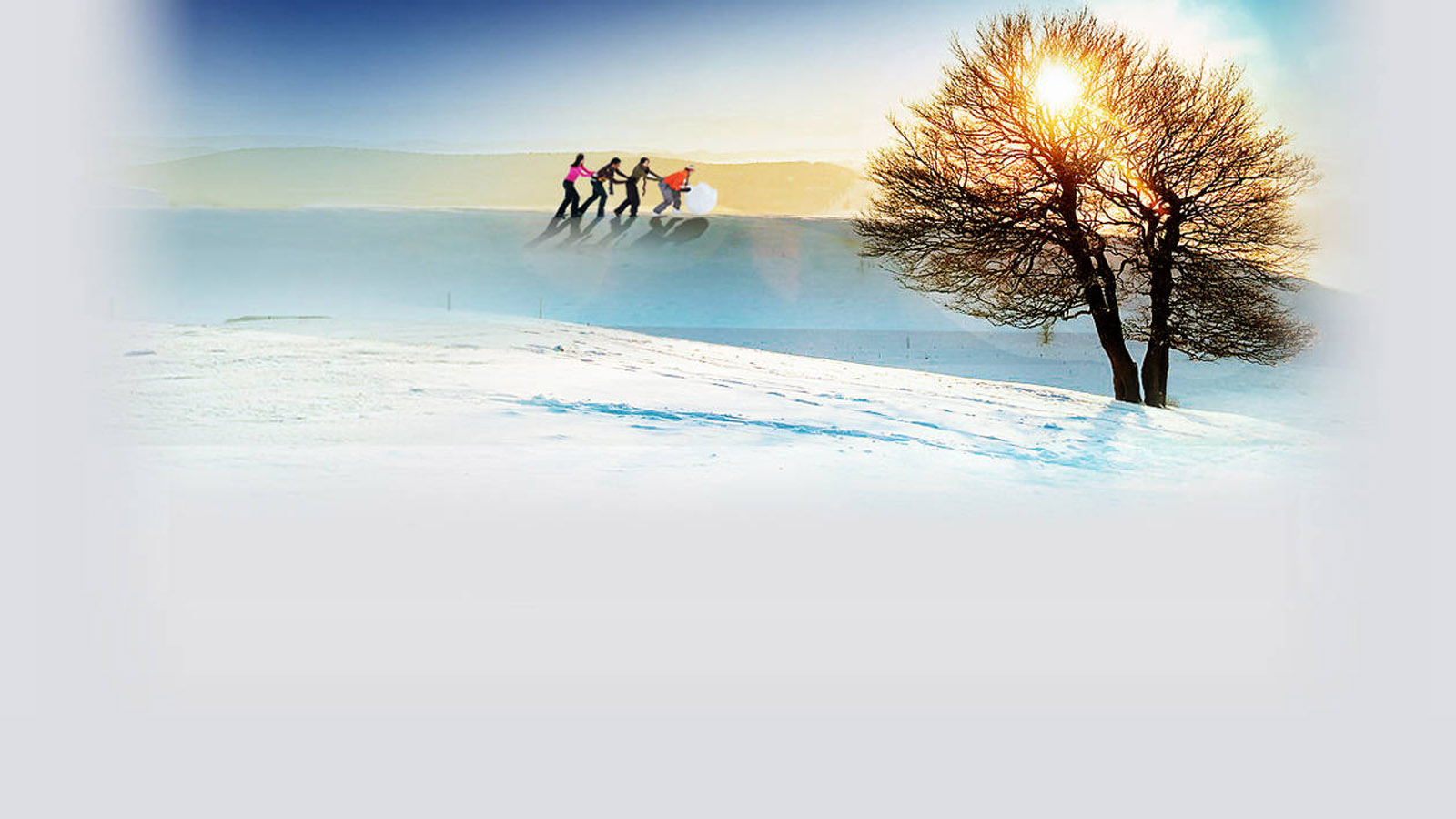 Winter Sunshine Landscape Desktop