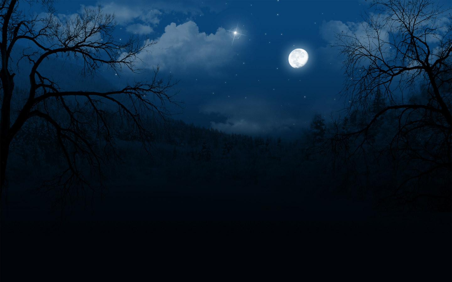 Night Scenery Desktop Wallpaper