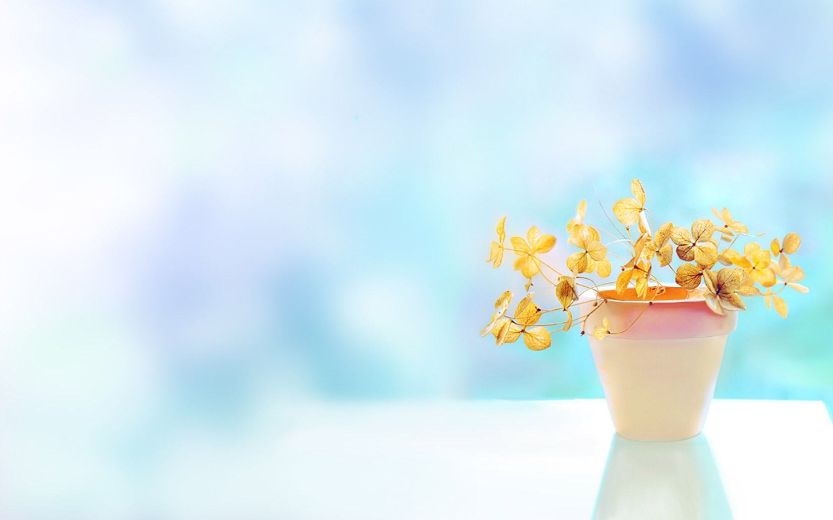 beautiful and lovely flowerpot desktop wallpaper