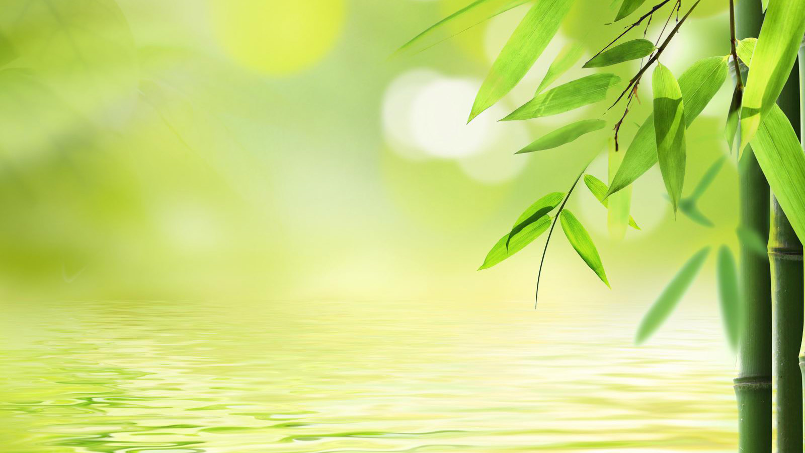 Clear green bamboo computer desktop wallpaper