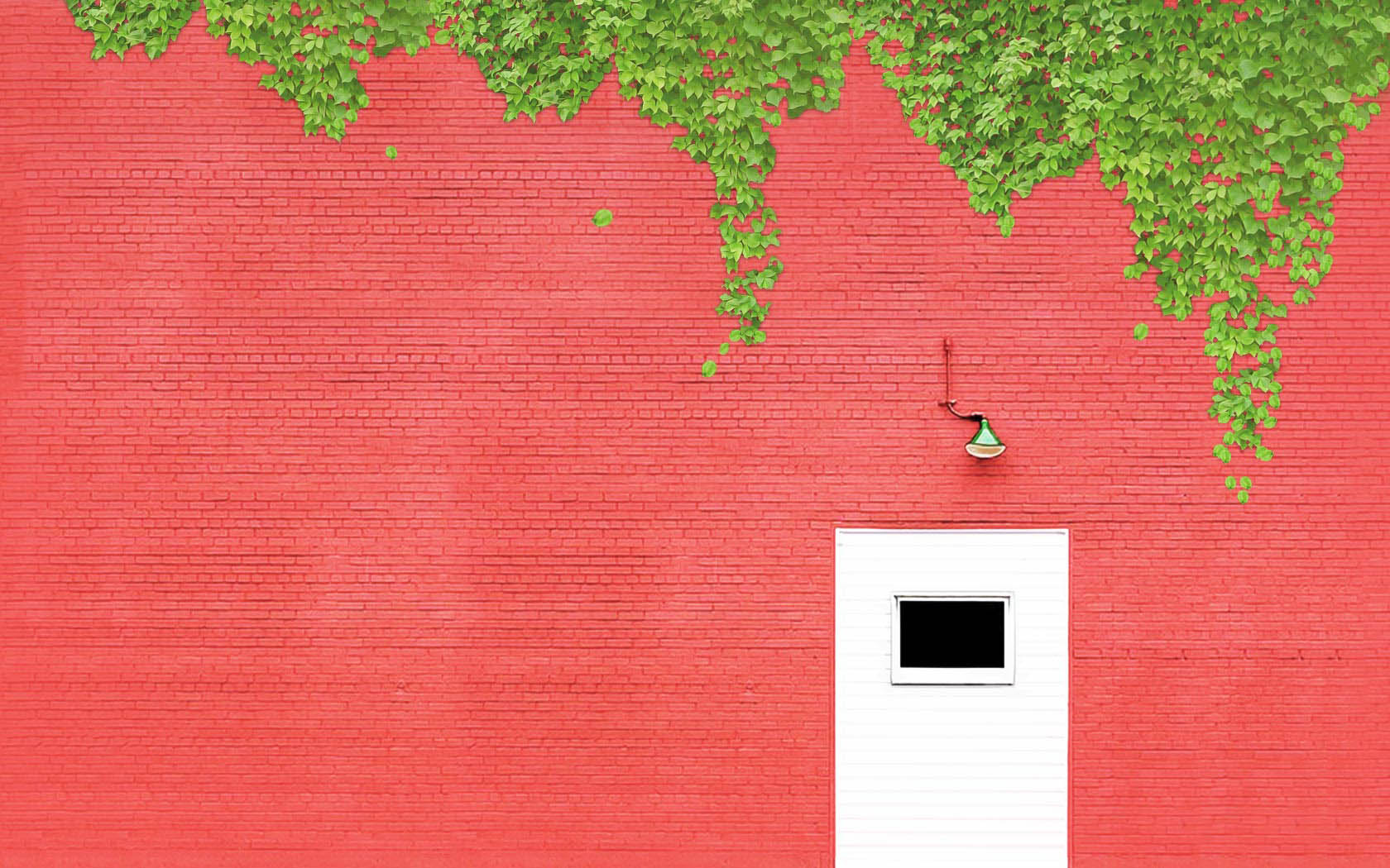 Red Wall Tree Vine Desktop Background