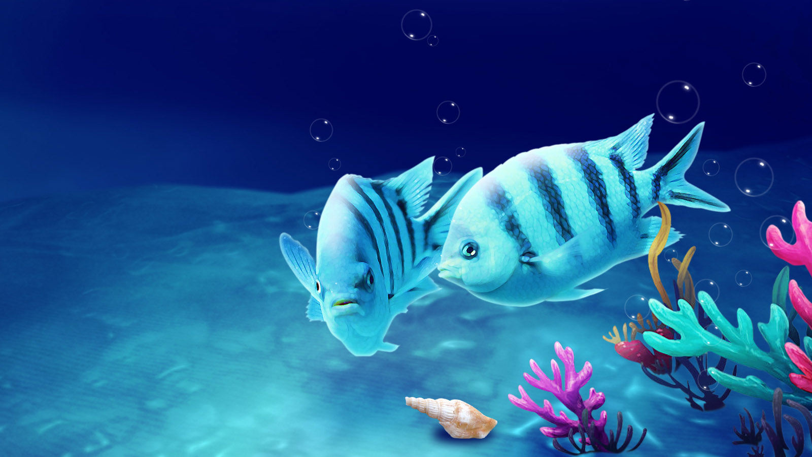 Underwater World Beauty Desktop Background