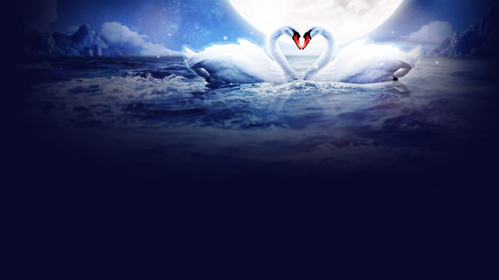 Romantic white swan dating desktop background