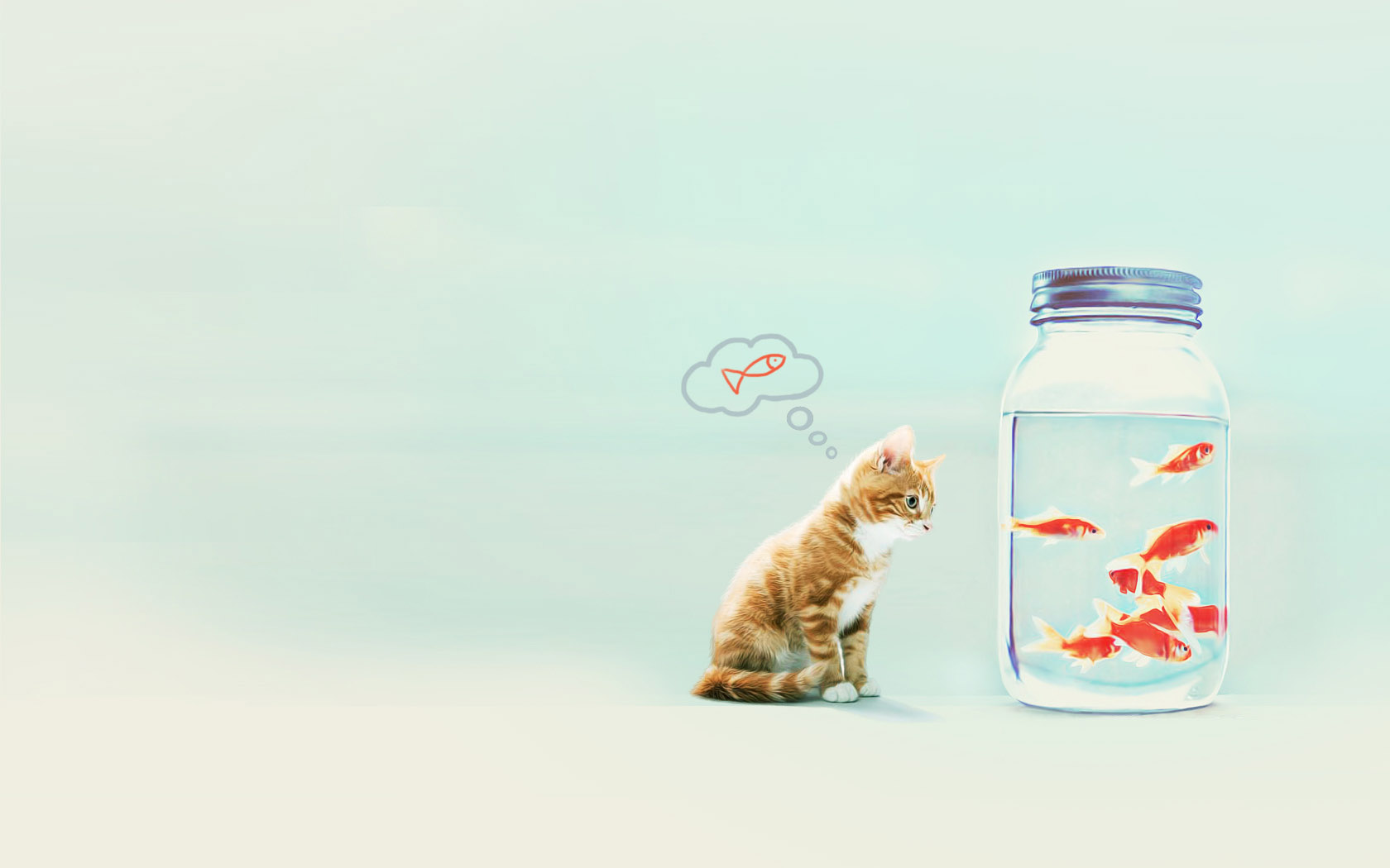 Happiness is a cat eating fish desktop background
