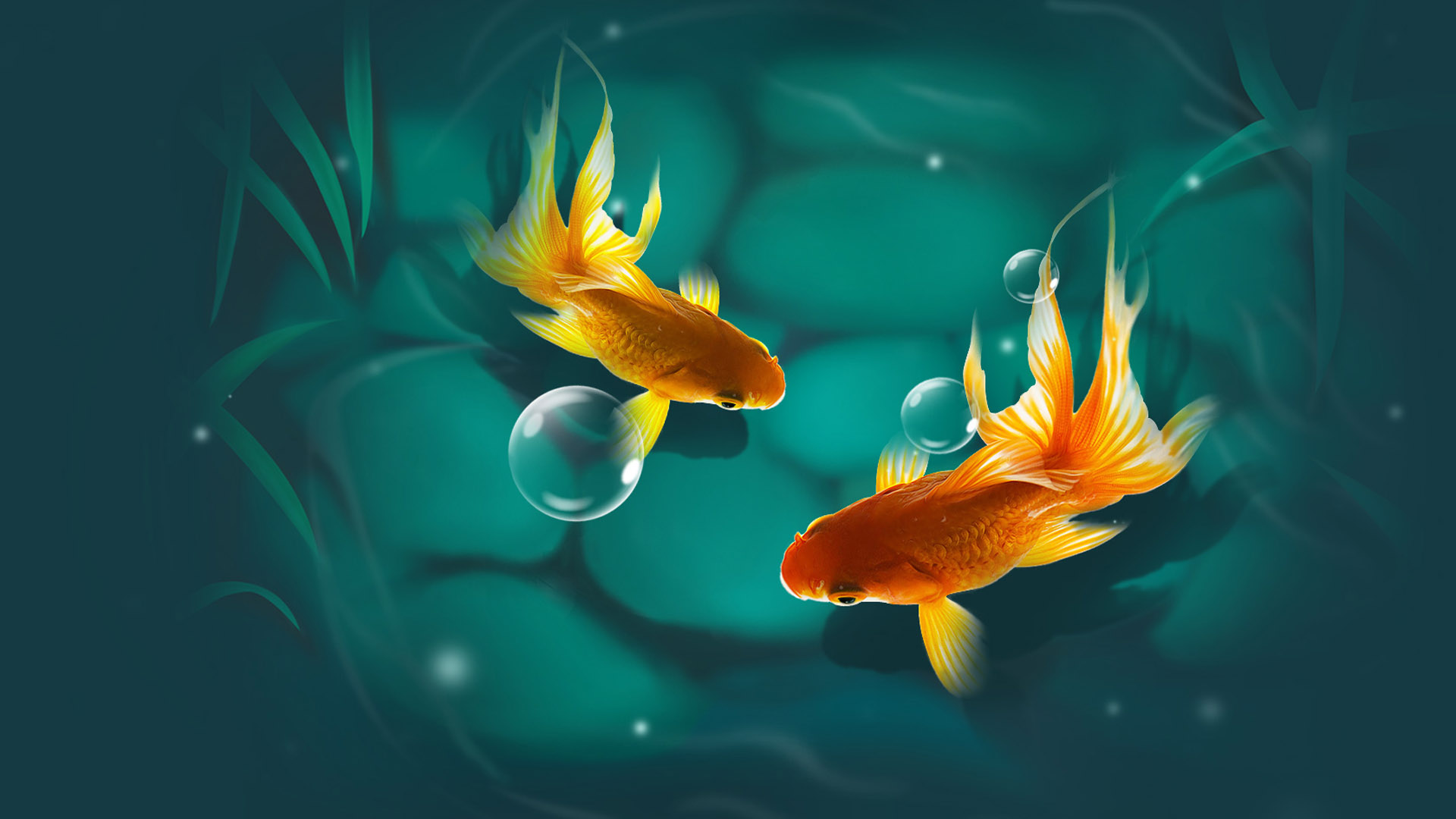 Two small fish desktop wallpaper
